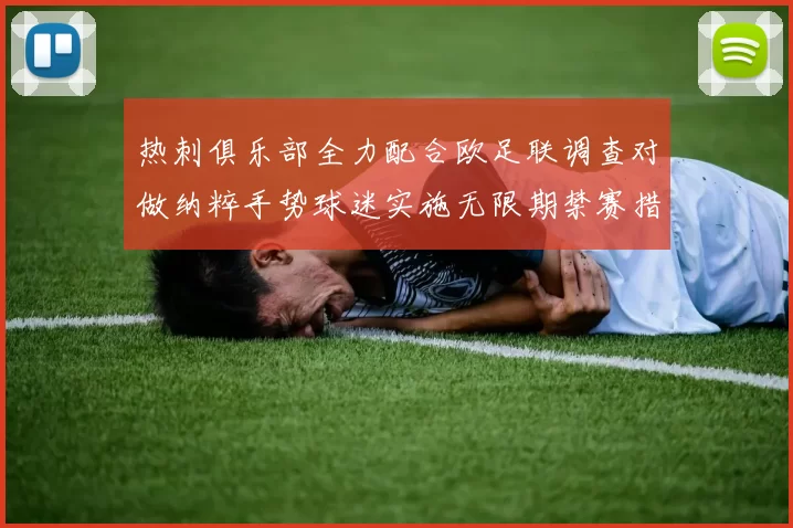 热刺俱乐部全力配合欧足联调查对做纳粹手势球迷实施无限期禁赛措施